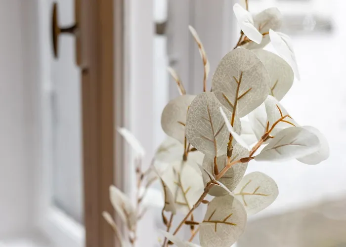 Art Loft Altstadt I 90 Qm I 2 Schlafzimmer I 2 Arbeitsplaetze I 6 Gaeste *